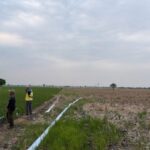 Kementerian PU Operasikan Pompa Atasi Kekeringan Sawah di Bekasi