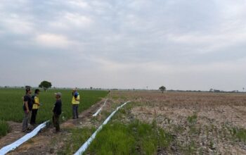 Kementerian PU Operasikan Pompa Atasi Kekeringan Sawah di Bekasi