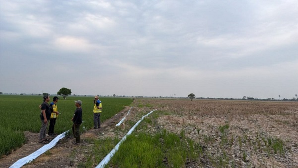 Kementerian PU Operasikan Pompa Atasi Kekeringan Sawah di Bekasi