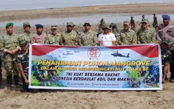 Lanal Nabire Tanam 500 Bibit Mangrove di Pantai Korowa, Libatkan 150 Peserta