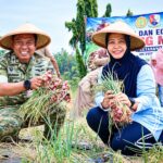 Lanud Halim Perdanakusuma Panen Bawang, Libatkan Warga Dukung Ketahanan Pangan