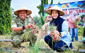 Lanud Halim Perdanakusuma Panen Bawang, Libatkan Warga Dukung Ketahanan Pangan