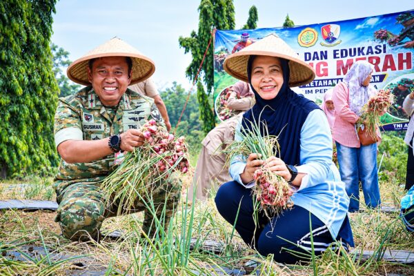 Lanud Halim Perdanakusuma Panen Bawang, Libatkan Warga Dukung Ketahanan Pangan