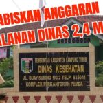 Pertanyakan Rp2,48 Miliar Anggaran Perjalanan Dinas Dinkes Lampung Timur, Kadinkes: Saya Cek Datanya Dulu
