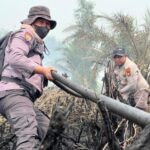 Polda Riau Tangani 45 Kasus Karhutla, 49 Orang Jadi Tersangka dan 2.958 Hektare Terbakar