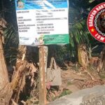 Proyek Irigasi Rp216 Juta di Pendarungan Banyuwangi Disorot, LSM Harimau Minta Dinas Terkait Cek Kelapangan