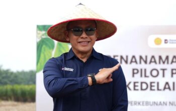 Tekan Impor dan Perkuat Ketahanan Pangan, PTPN IV PalmCo Tanam Kedelai 1.000 Hektare