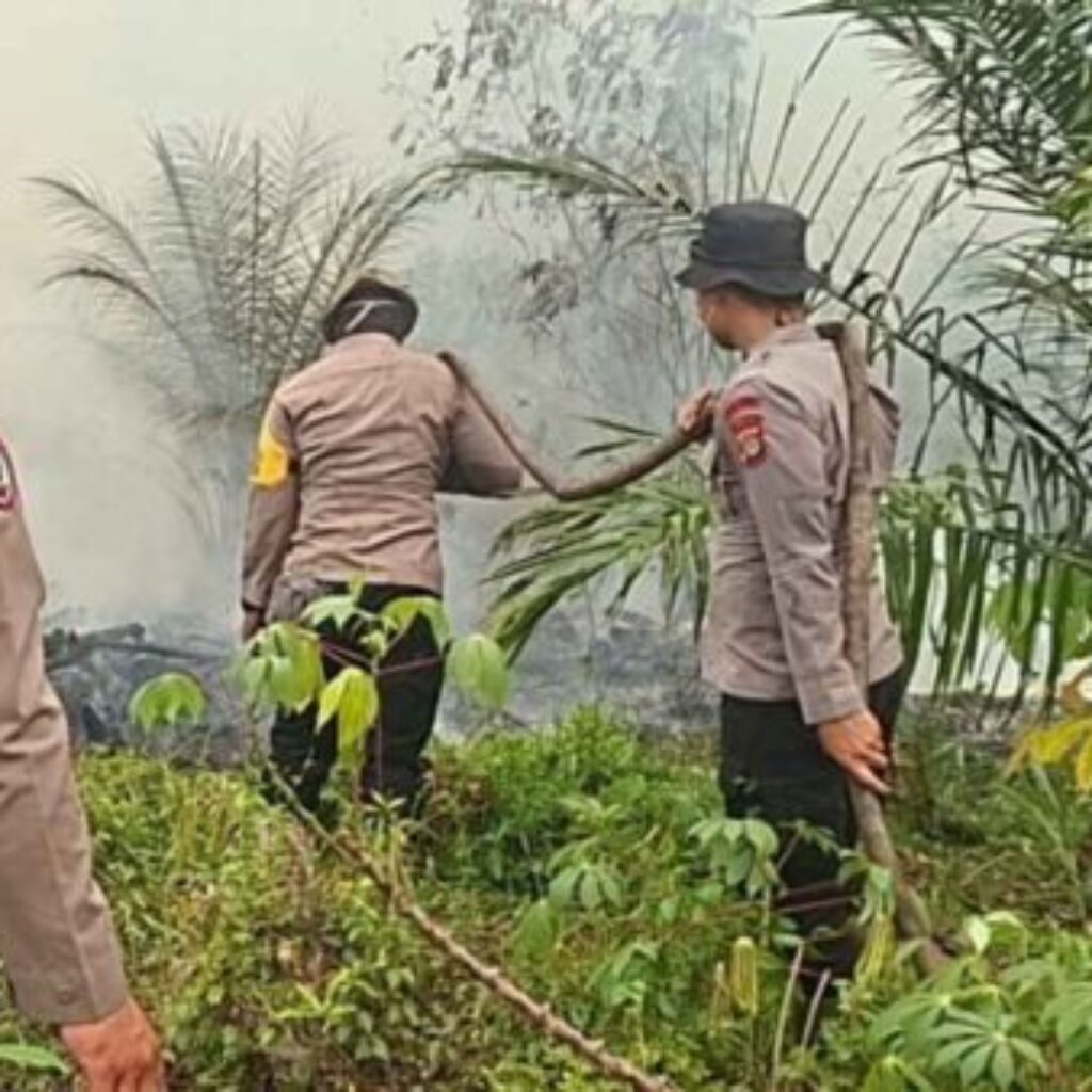 Tim Gabungan Padamkan Karhutla 5 Hektare di Kuala Tolak, Api Berhasil Dikendalikan