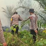 Tim Gabungan Padamkan Karhutla 5 Hektare di Kuala Tolak, Api Berhasil Dikendalikan