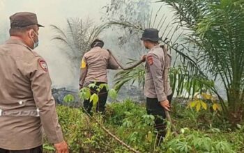 im gabungan memadamkan kebakaran hutan dan lahan seluas 5 hektare di Desa Kuala Tolak, Kabupaten Ketapang