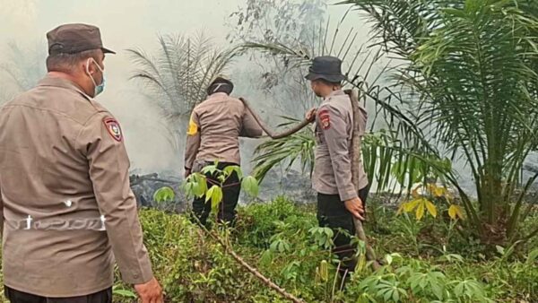 im gabungan memadamkan kebakaran hutan dan lahan seluas 5 hektare di Desa Kuala Tolak, Kabupaten Ketapang