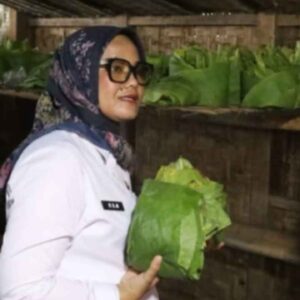 Salurkan DBHCHT, Bupati Lampung Timur Terus Berkomitmen Sejahterakan Petani Tembakau