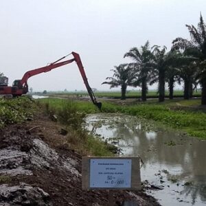 Selamatkan 8.000 Hektare Lahan Pertanian, Kementerian PU Percepat Penanganan Intrusi Air Laut