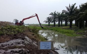 Selamatkan 8.000 Hektare Lahan Pertanian, Kementerian PU Percepat Penanganan Intrusi Air Laut