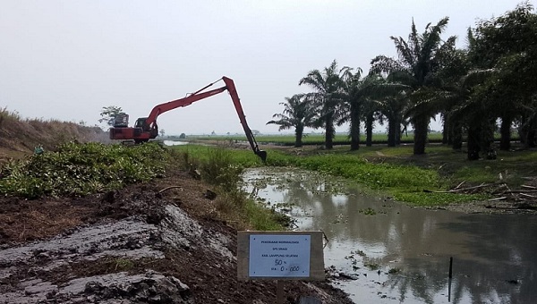 Selamatkan 8.000 Hektare Lahan Pertanian, Kementerian PU Percepat Penanganan Intrusi Air Laut