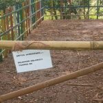Tangga Taman Hutan KP3B Banten Rusak, Publik Pertanyakan Anggaran Pemeliharaan