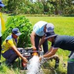 Kementerian PU Kerahkan 13 Pompa untuk 120 Hektare Sawah di Jatim