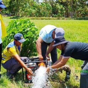 Kementerian PU Kerahkan 13 Pompa untuk 120 Hektare Sawah di Jatim