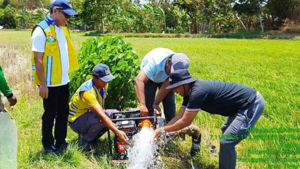 Kementerian PU mengerahkan pompa air untuk sawah terdampak kekeringan di Jawa Timur.