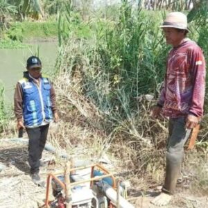 15 Hektare Sawah di Pinrang Kekeringan, Dua Pompa Dikerahkan