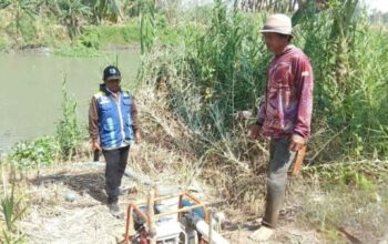 Pemompaan air untuk sawah terdampak kekeringan di Pinrang.