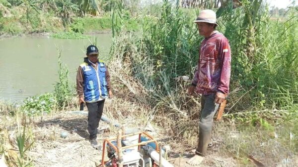 Pemompaan air untuk sawah terdampak kekeringan di Pinrang.