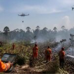 Karhutla Indonesia: Kerja Keras Tidak Sama dengan Kerja Cerdas