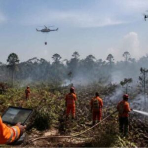 Karhutla Indonesia: Kerja Keras Tidak Sama dengan Kerja Cerdas